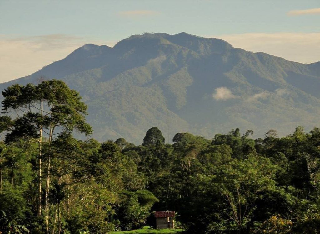 Gunung Pesagi, gunung tertinggi di Lampung